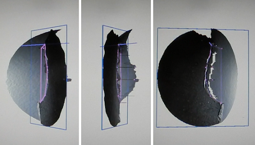 韋林內(nèi)窺鏡三維立體測量的點云圖驗證 韋林內(nèi)窺鏡三維立體測量的點云圖驗證