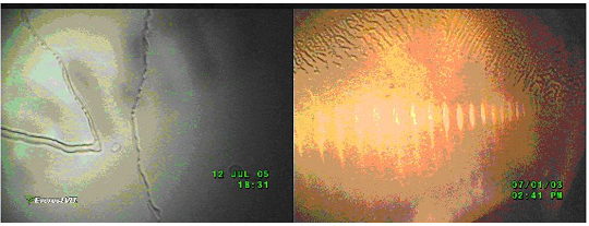 避免探頭CCD損傷的使用注意事項-超溫?fù)p傷示意圖 避免探頭CCD損傷的使用注意事項-超溫?fù)p傷示意圖