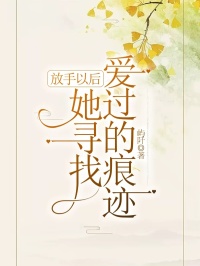 《放手以后,她寻找爱过的痕迹》林清何琳小说全文TXT免费下载